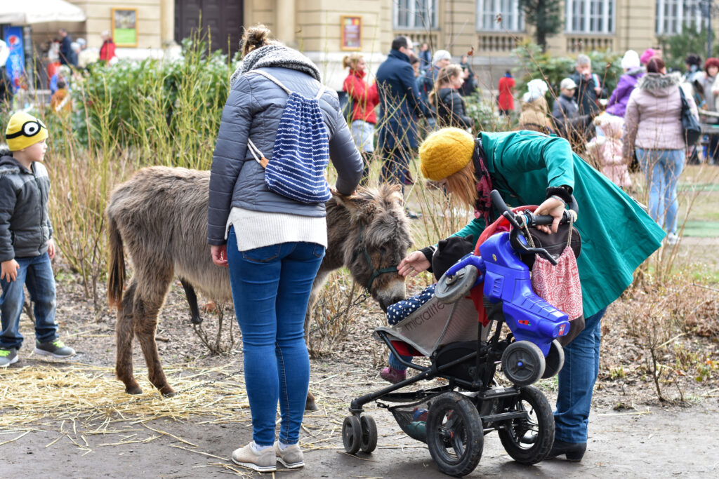 Persone accarezzano un pony